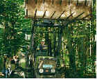 lecamp3.jpg (5348 octets)